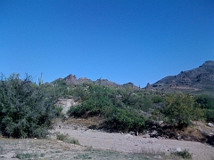 Pictures from iPhone 029